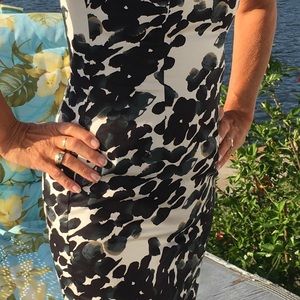 Ann Taylor Dress